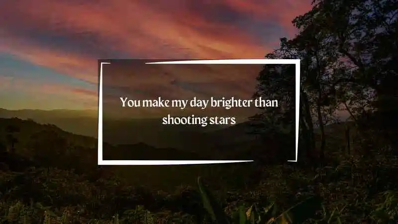 Animal Crossing Pick Up Lines