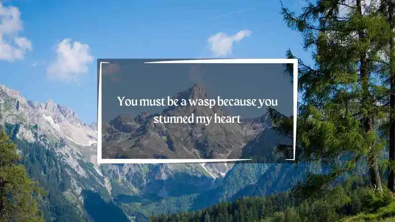 Animal Crossing Pick Up Lines 