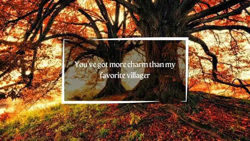 Animal Crossing Pick Up Lines 
