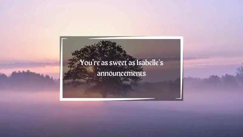 Animal Crossing Pick Up Lines