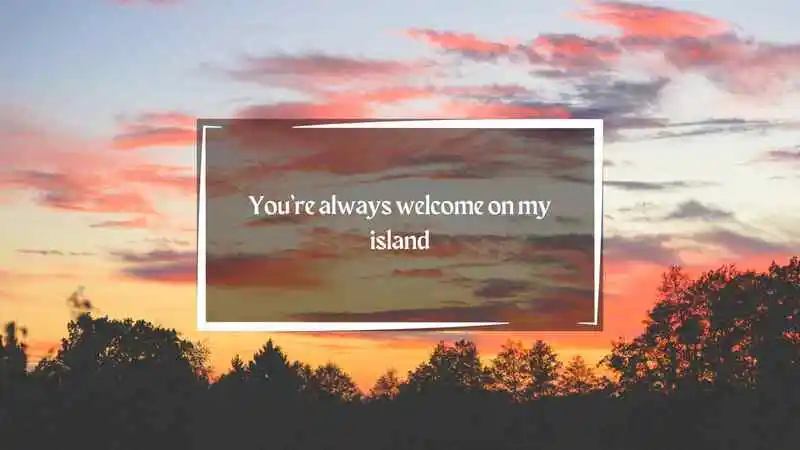 Animal Crossing Pick Up Lines