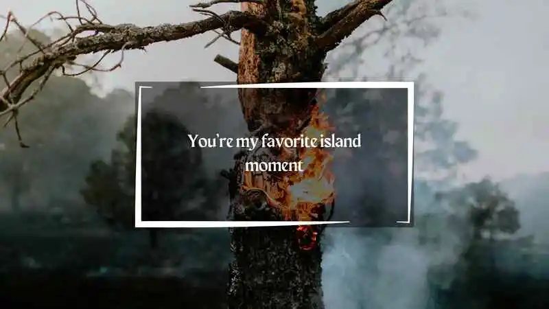 Animal Crossing Pick Up Lines