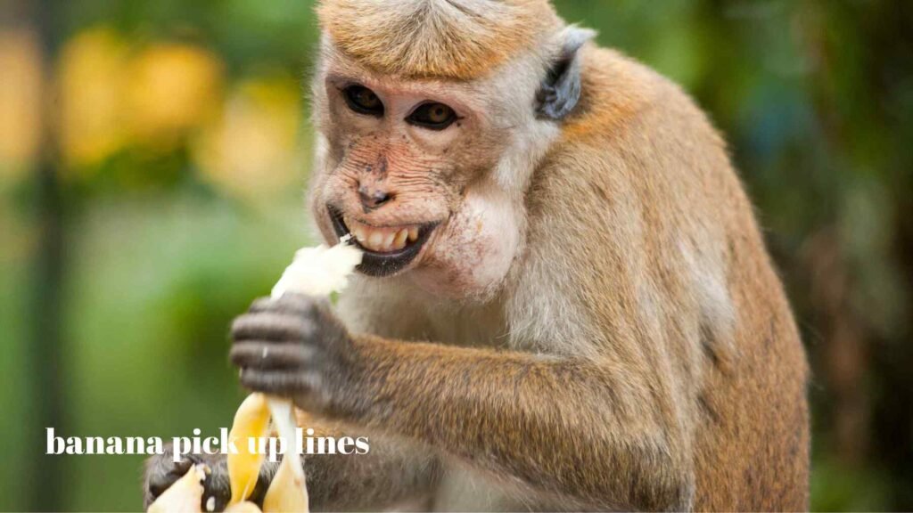 Banana pick up lines