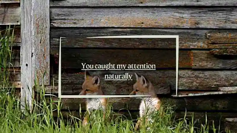 Farmers Market Pick Up Lines