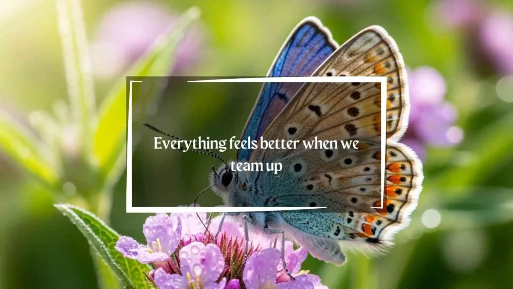 path of exile pick up lines