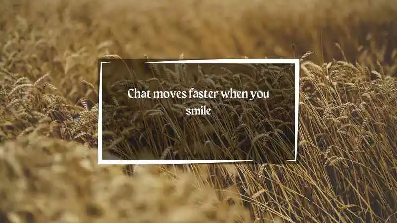 Streamer Gamer Pick Up Lines