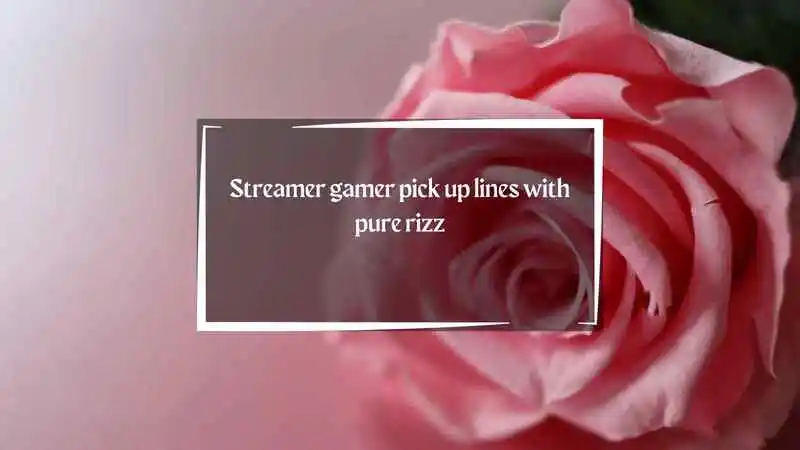 Streamer Gamer Pick Up Lines