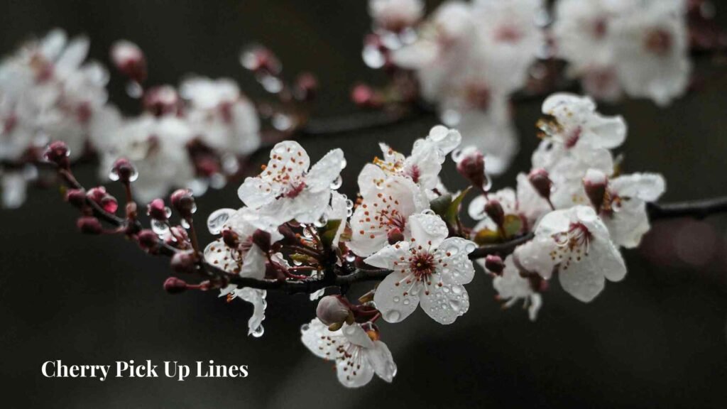 Cherry Pick Up Lines 