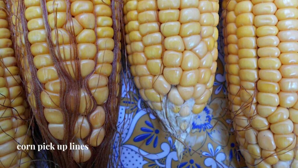  Corn Pick Up Lines