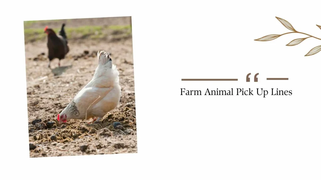 Farm Animal Pick Up Lines