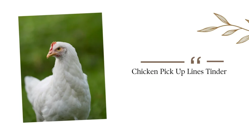Chicken Pick Up Lines Tinder