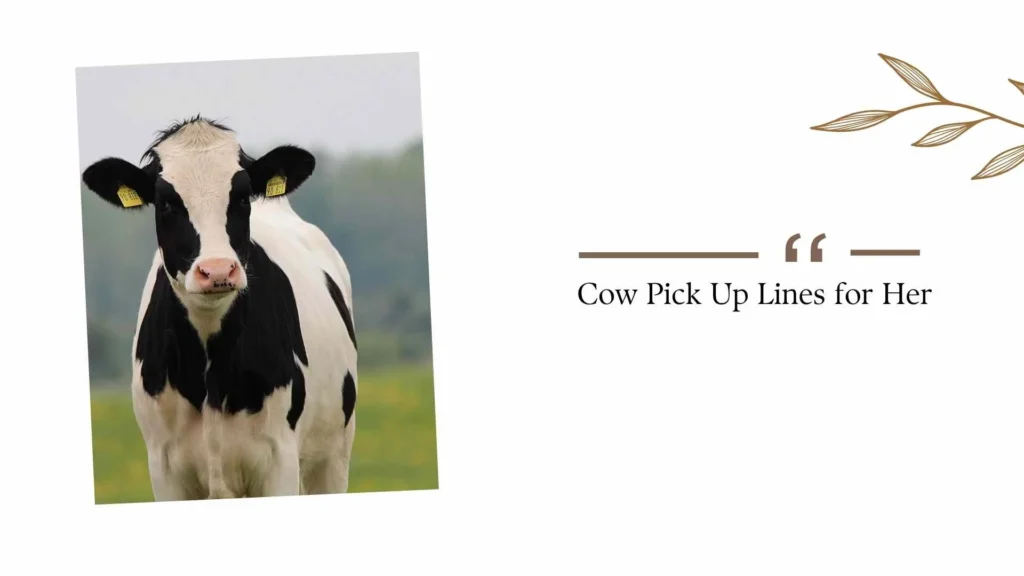 Cow Pick Up Lines for Her