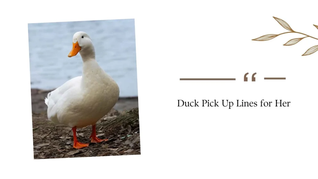 Duck Pick Up Lines for Her