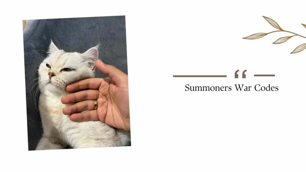 Summoners War Codes