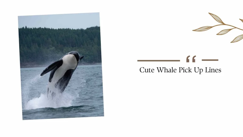 Cute Whale Pick Up Lines