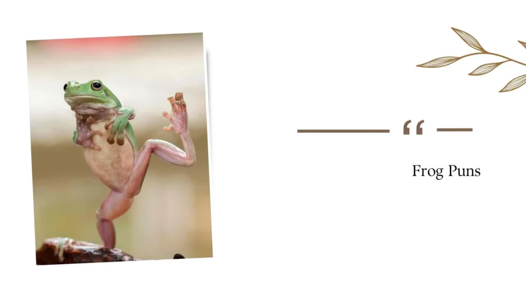 Frog Puns