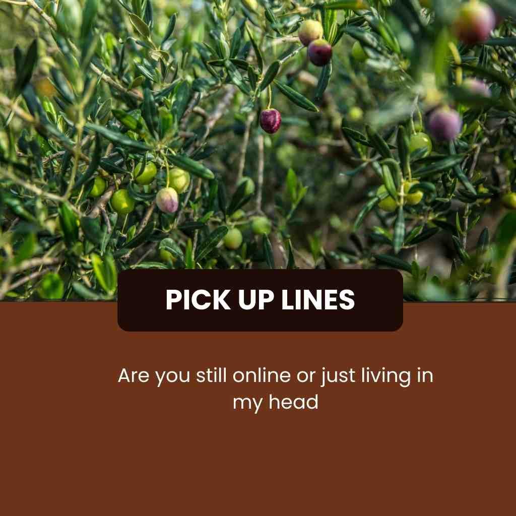Farm Pick Up Lines