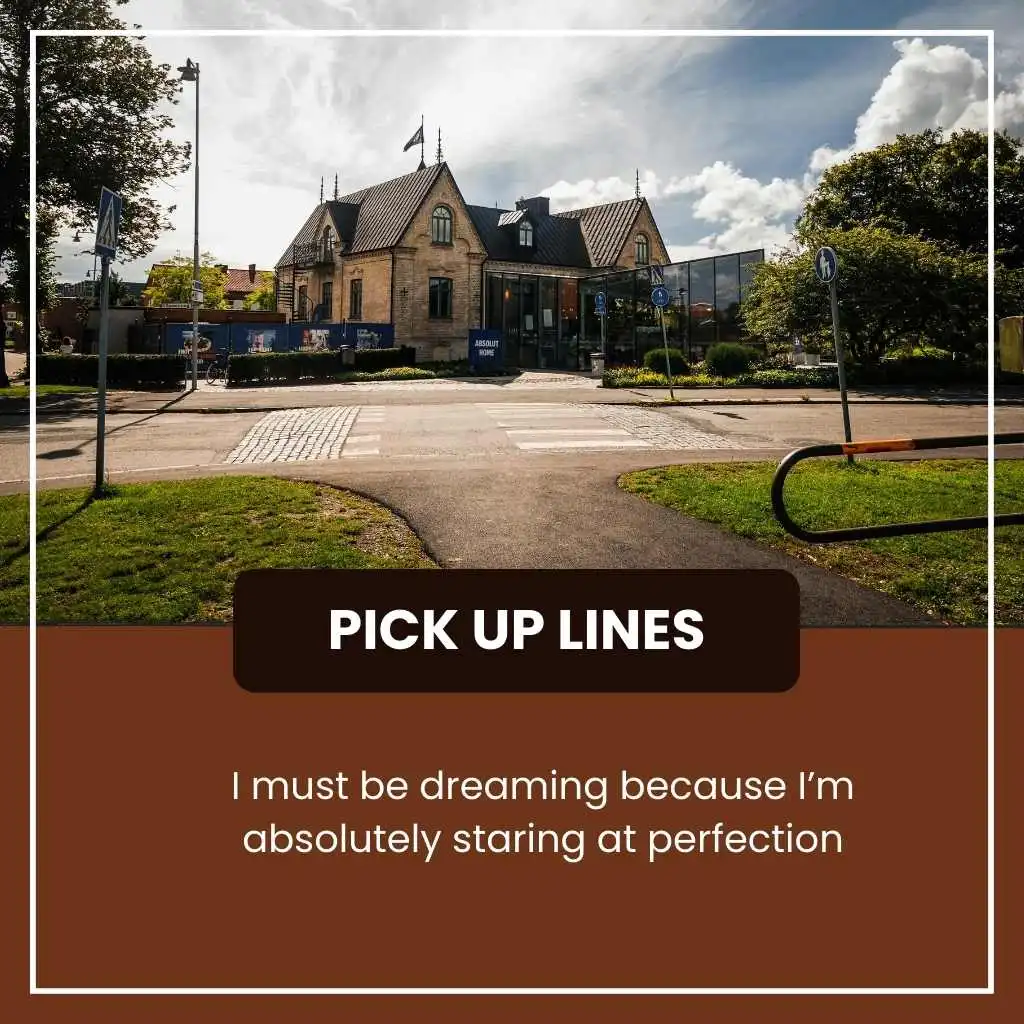 Absolutely Pick Up Lines