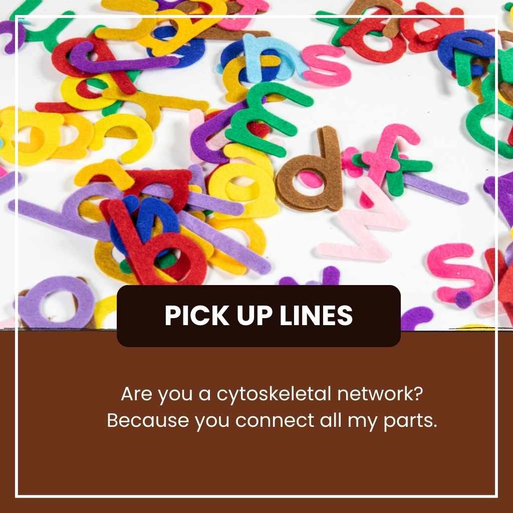 Alphabet Pick Up Lines