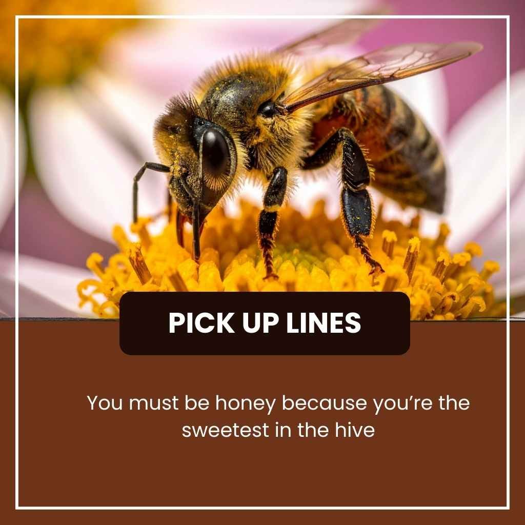 Bees Pick Up Lines 