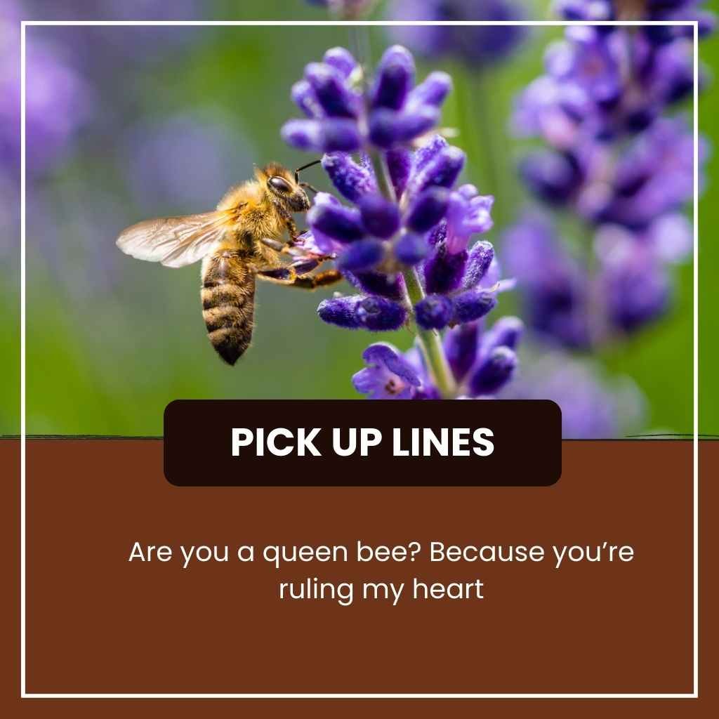 Bees Pick Up Lines 