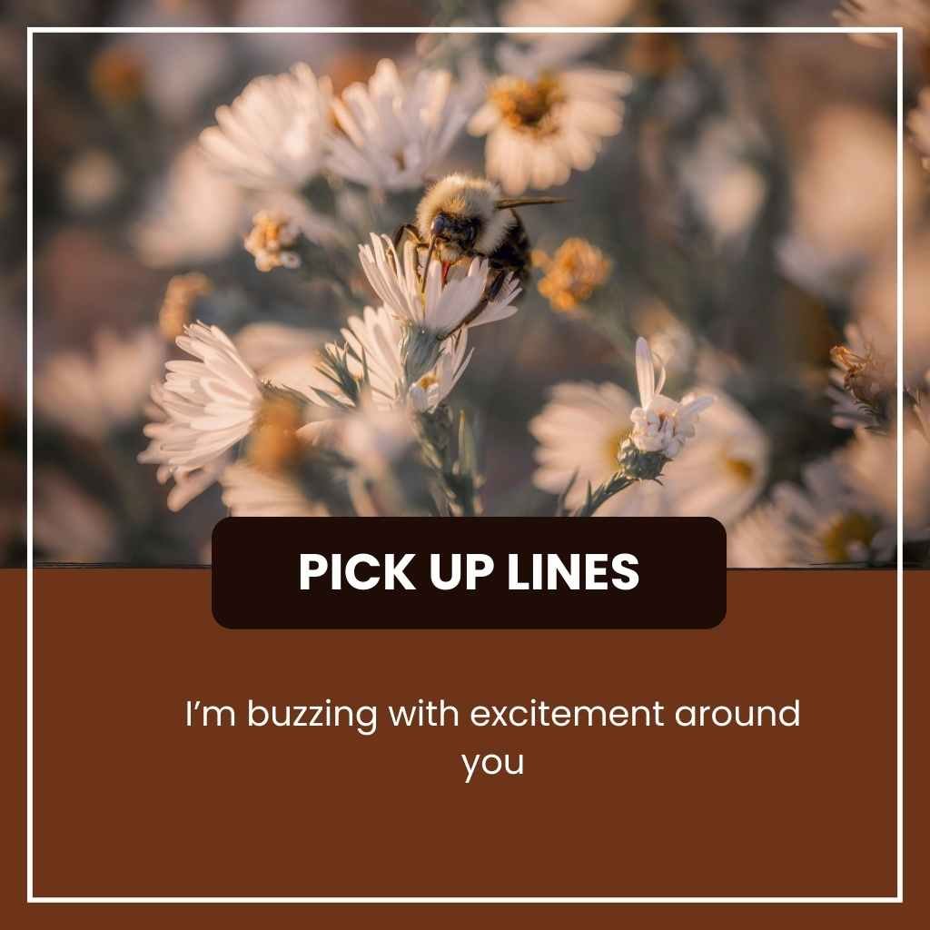 Bees Pick Up Lines 