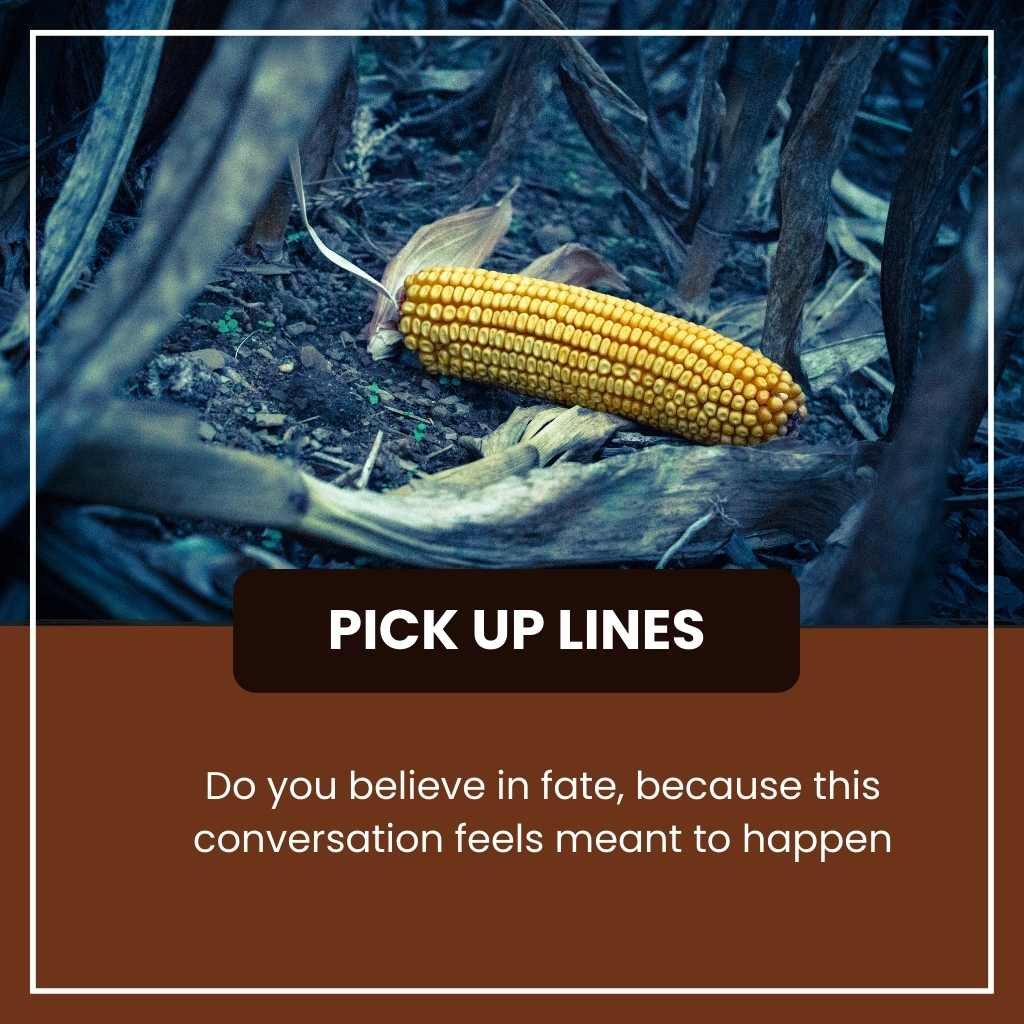 Corny Pick Up Lines