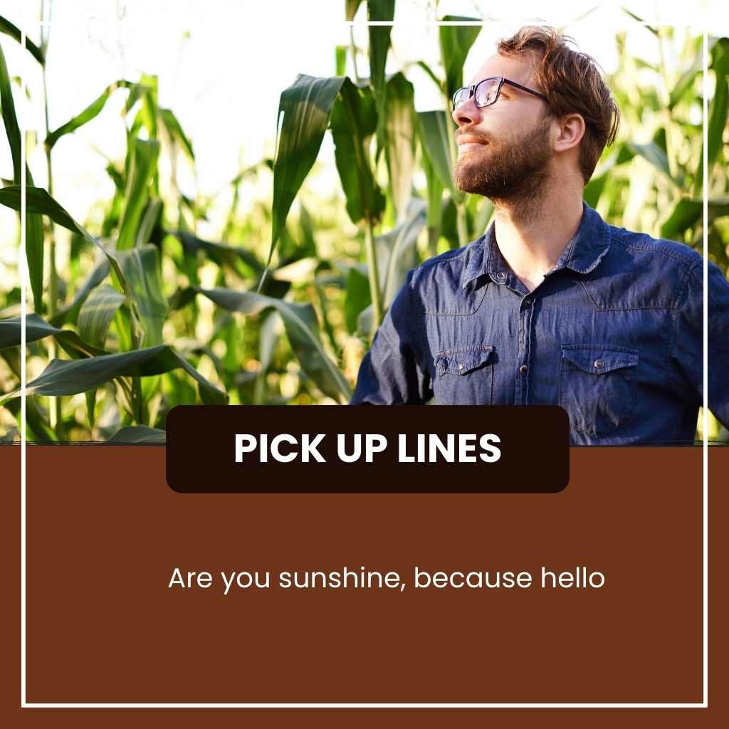 Corny Pick Up Lines