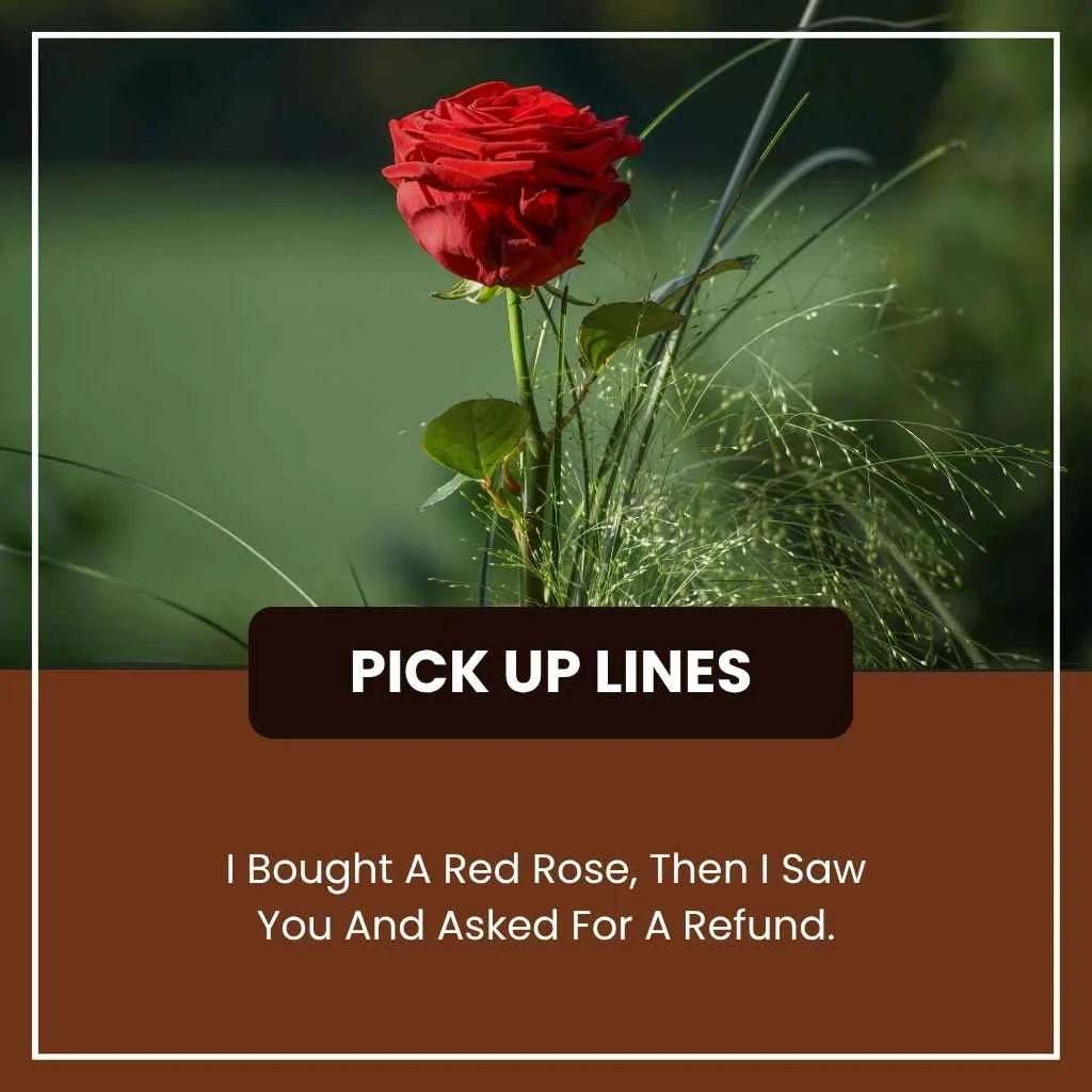 Cute red roses pick up lines funny
