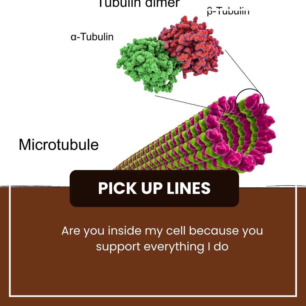 Cytoskeleton Pick Up Lines