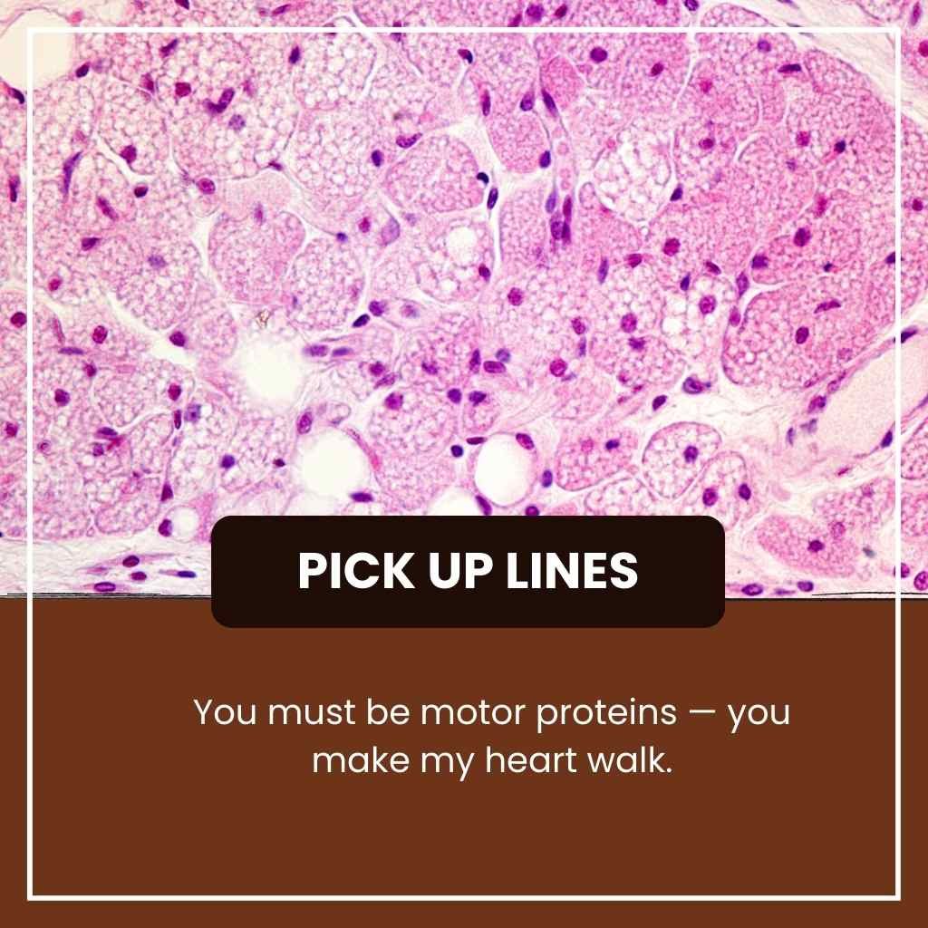 Cytoskeleton Pick Up Lines