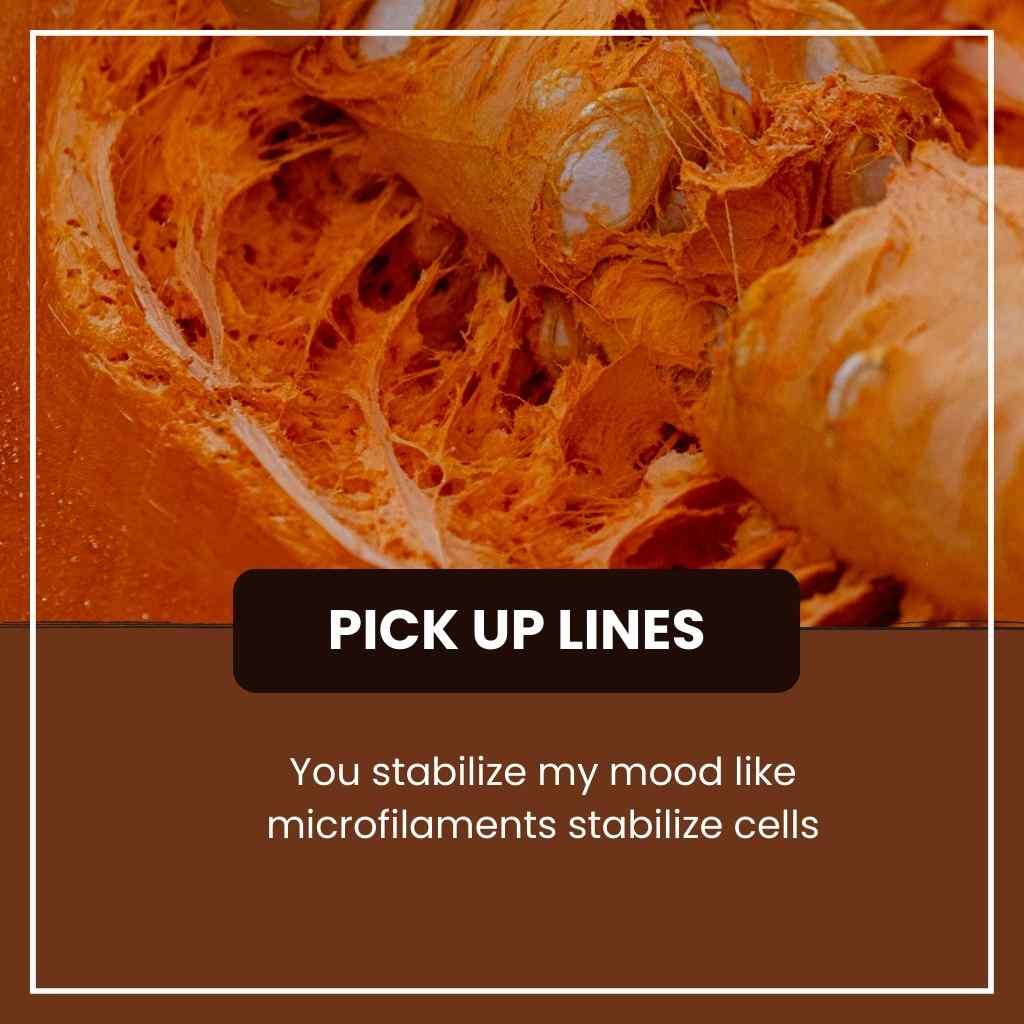 Cytoskeleton Pick Up Lines