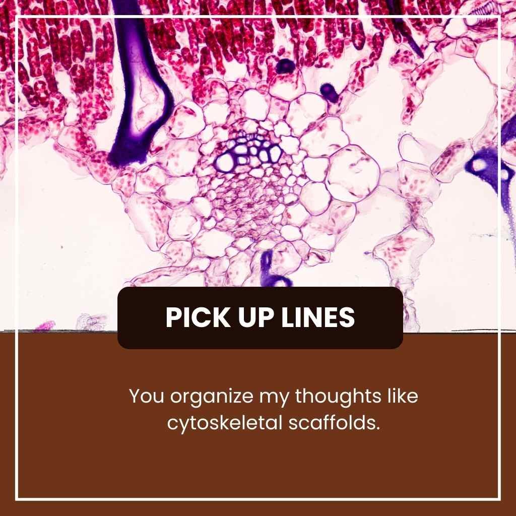 Cytoskeleton Pick Up Lines