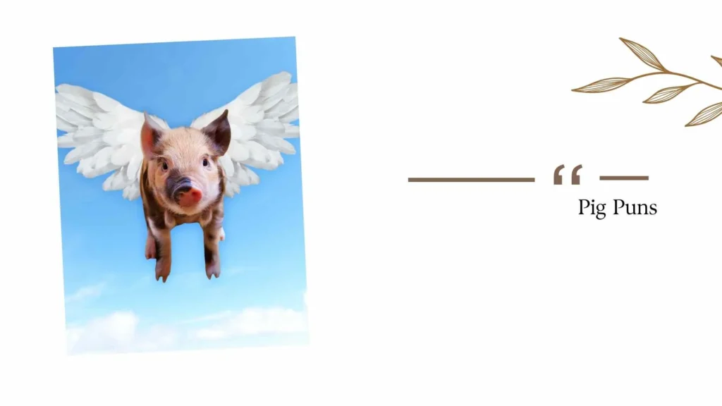 Pig Puns