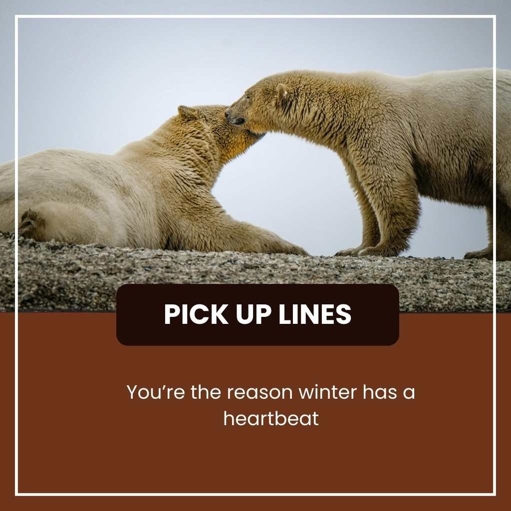 Best polar vortex pick up lines and rizz