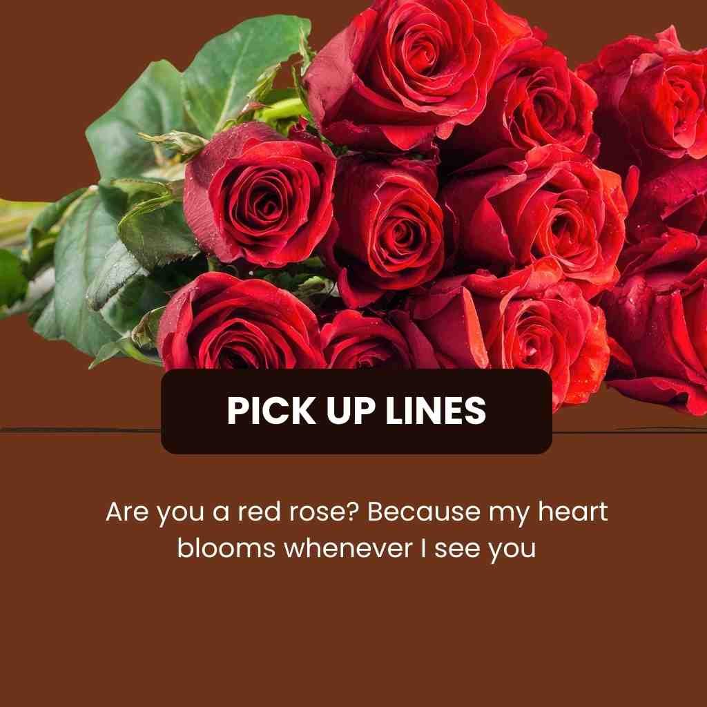 Red Roses Pick Up Lines
