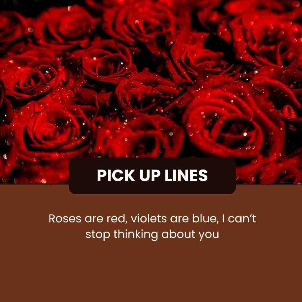 Red Roses Pick Up Lines