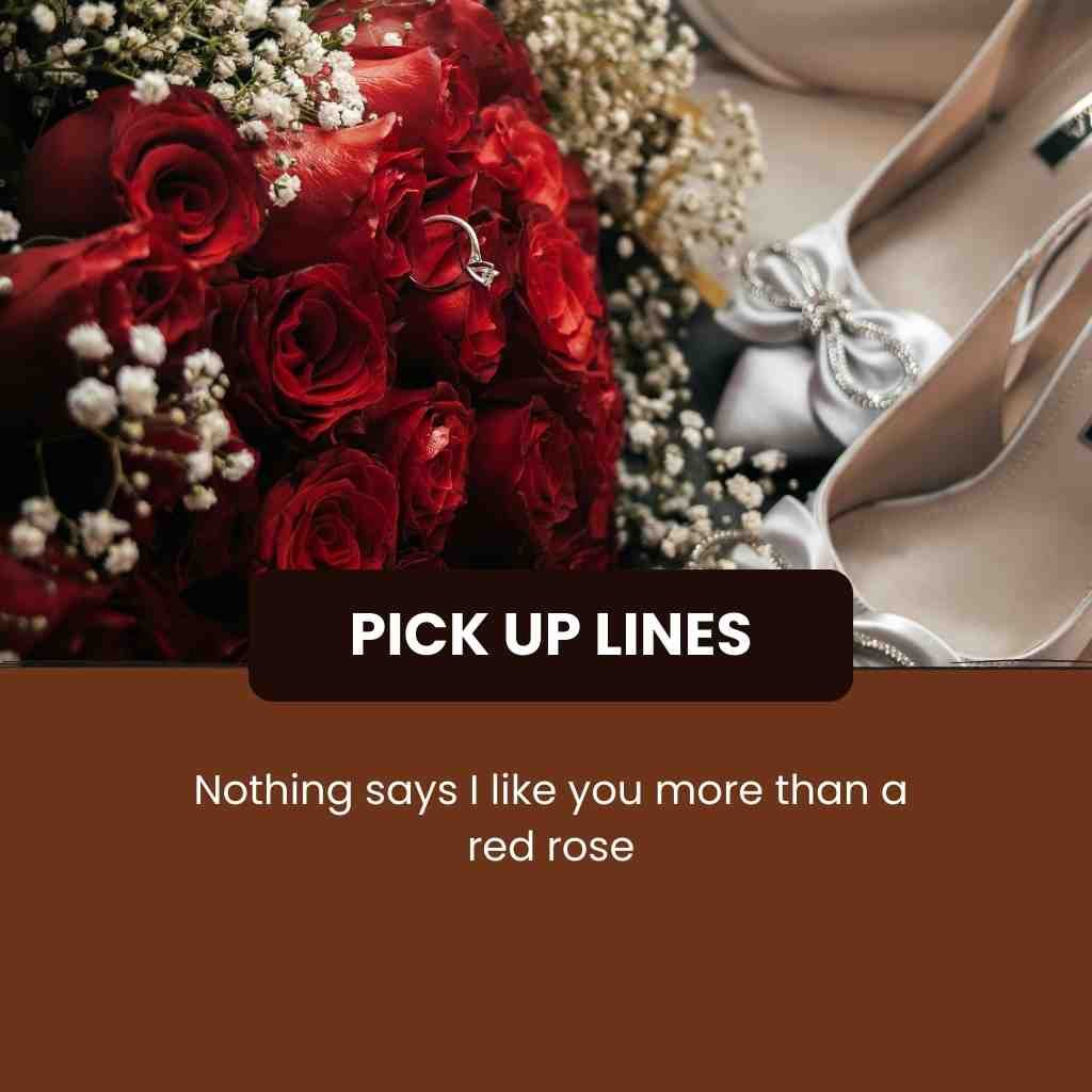 Red Roses Pick Up Lines