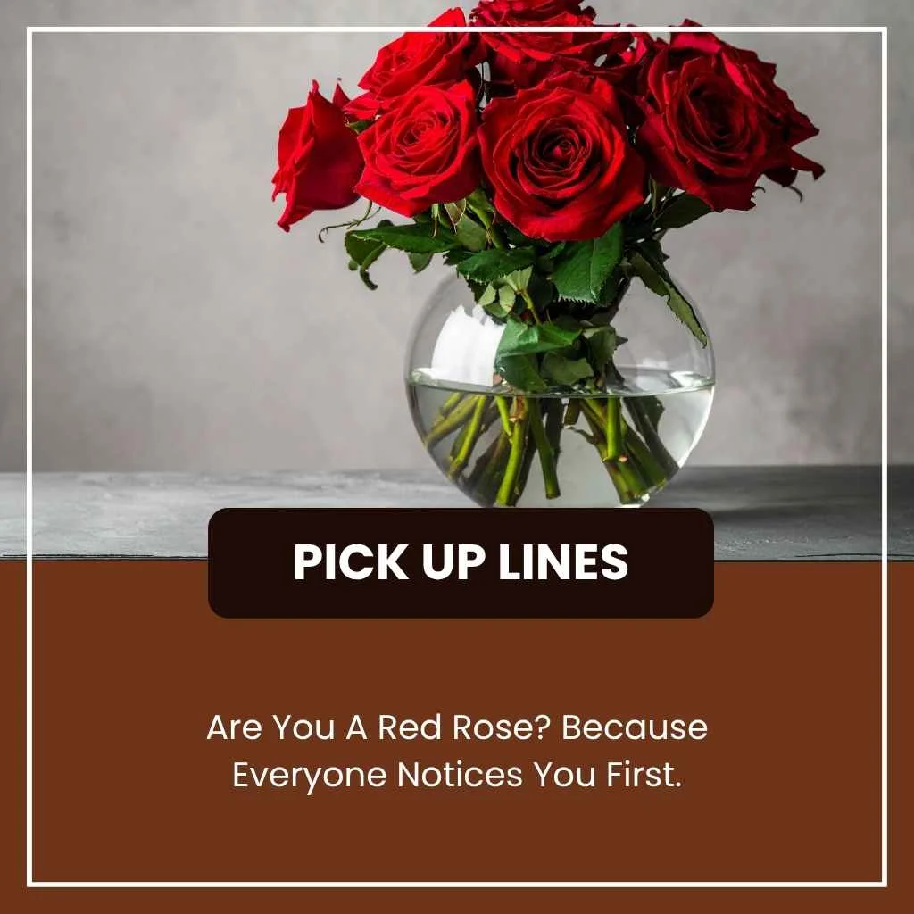 Red roses pick up lines reddit