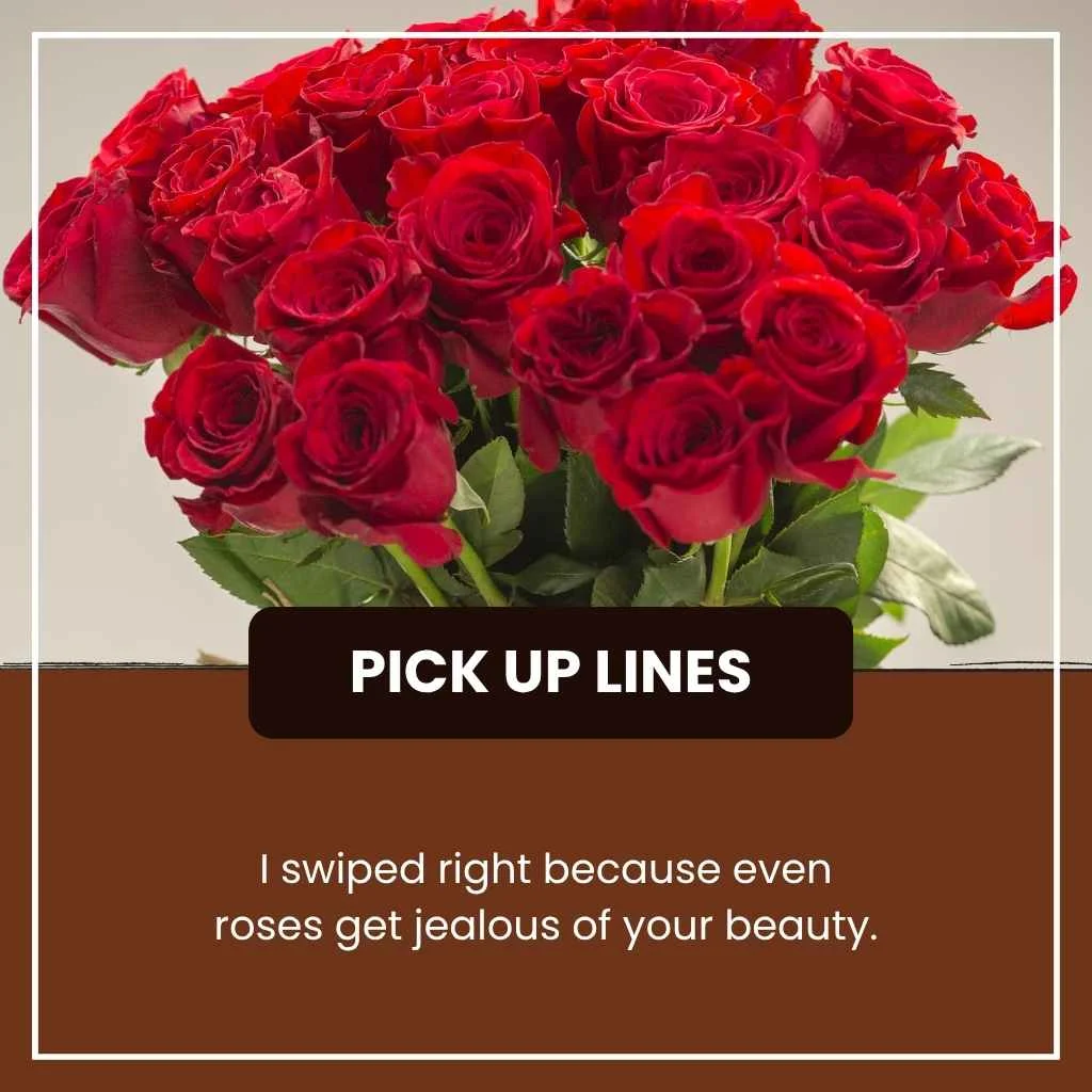 Red Roses Pick Up Lines Tinder