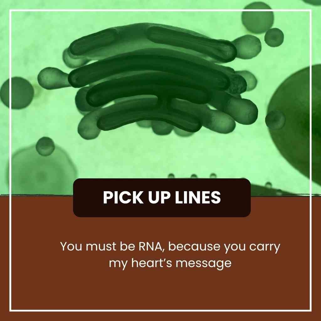 Ribosomes Pick Up Lines
