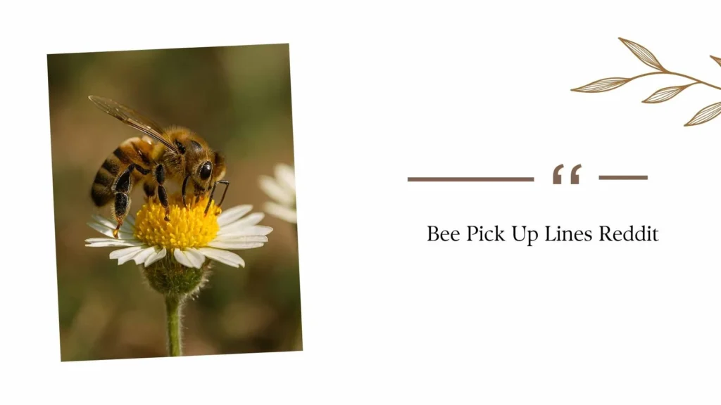 Bee Pick Up Lines Reddit