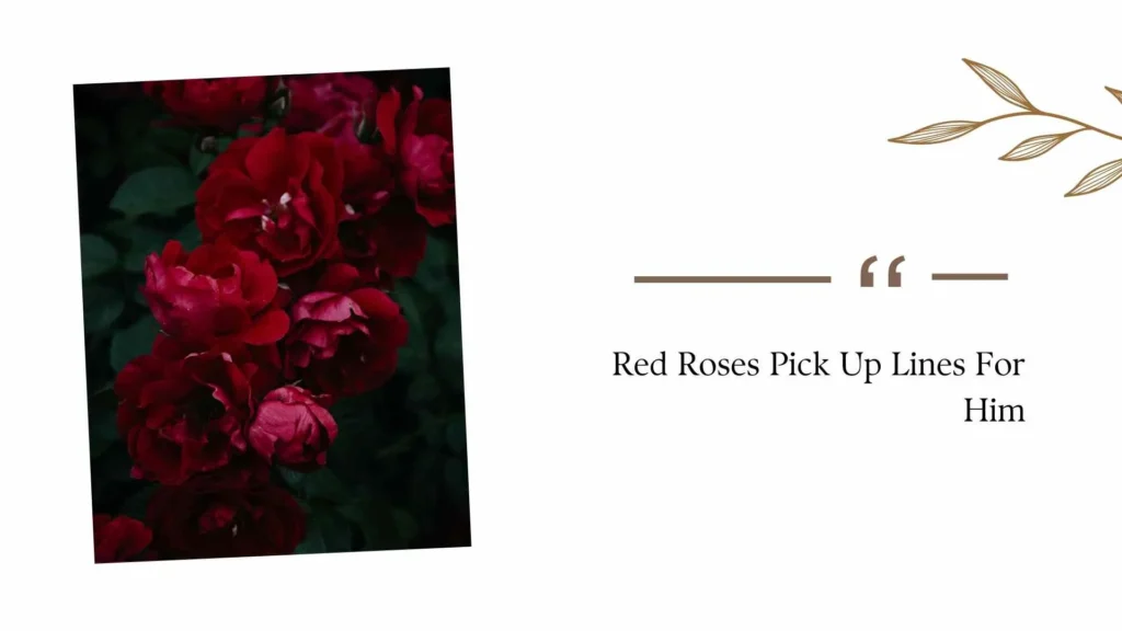 Red Roses Pick Up Lines For Him
