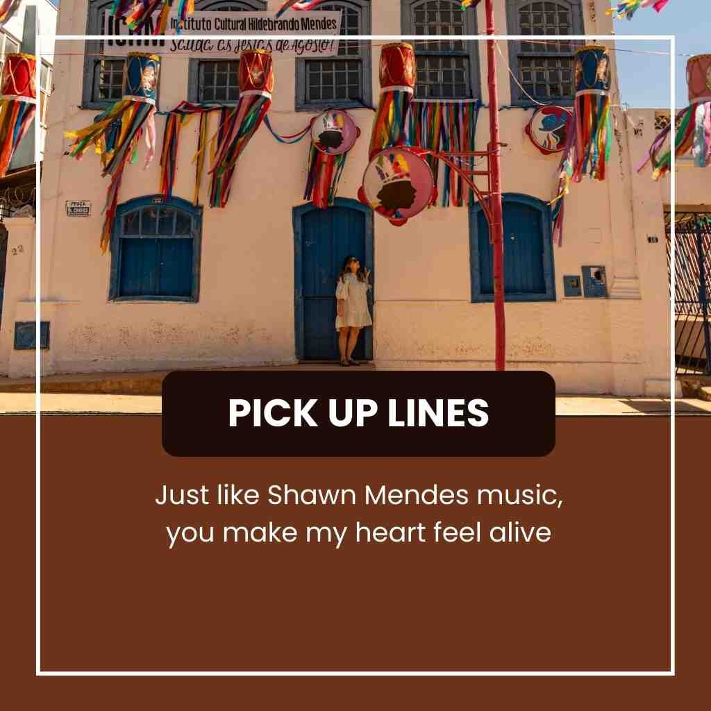 Shawn Mendes Pick Up Lines