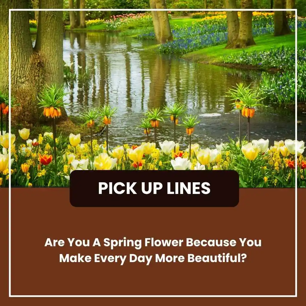 Spring Pick Up Lines Funny For Her