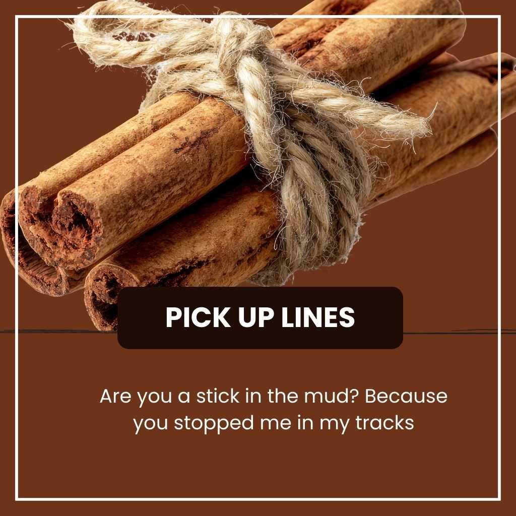Sticks Pick Up Lines