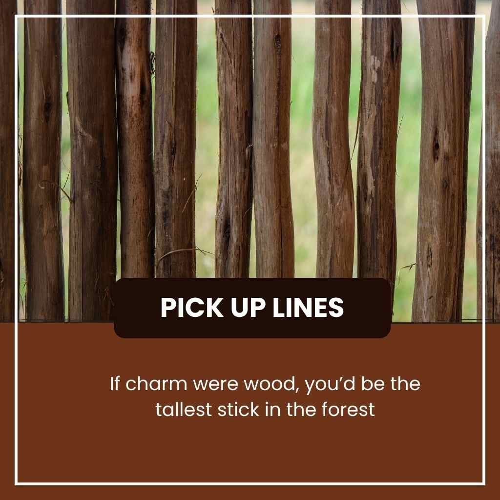 Sticks Pick Up Lines
