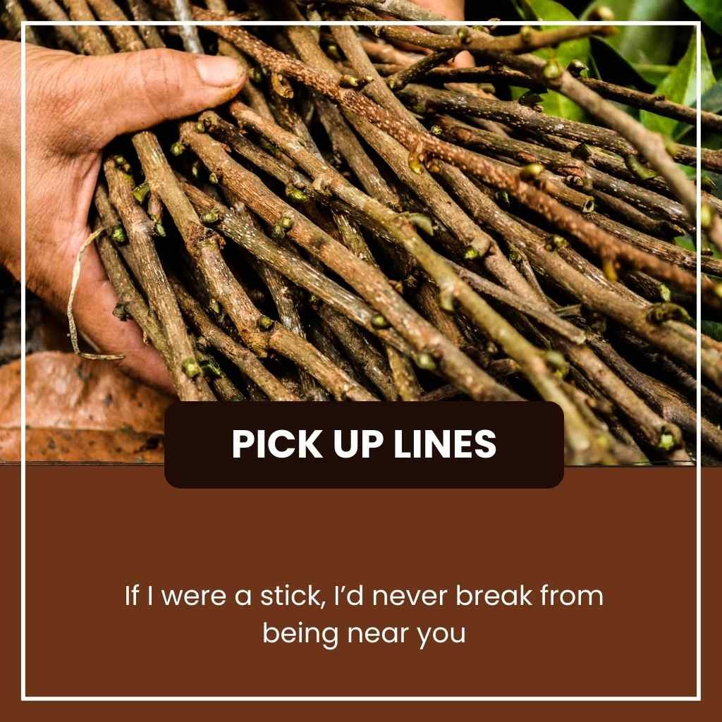 Sticks Pick Up Lines