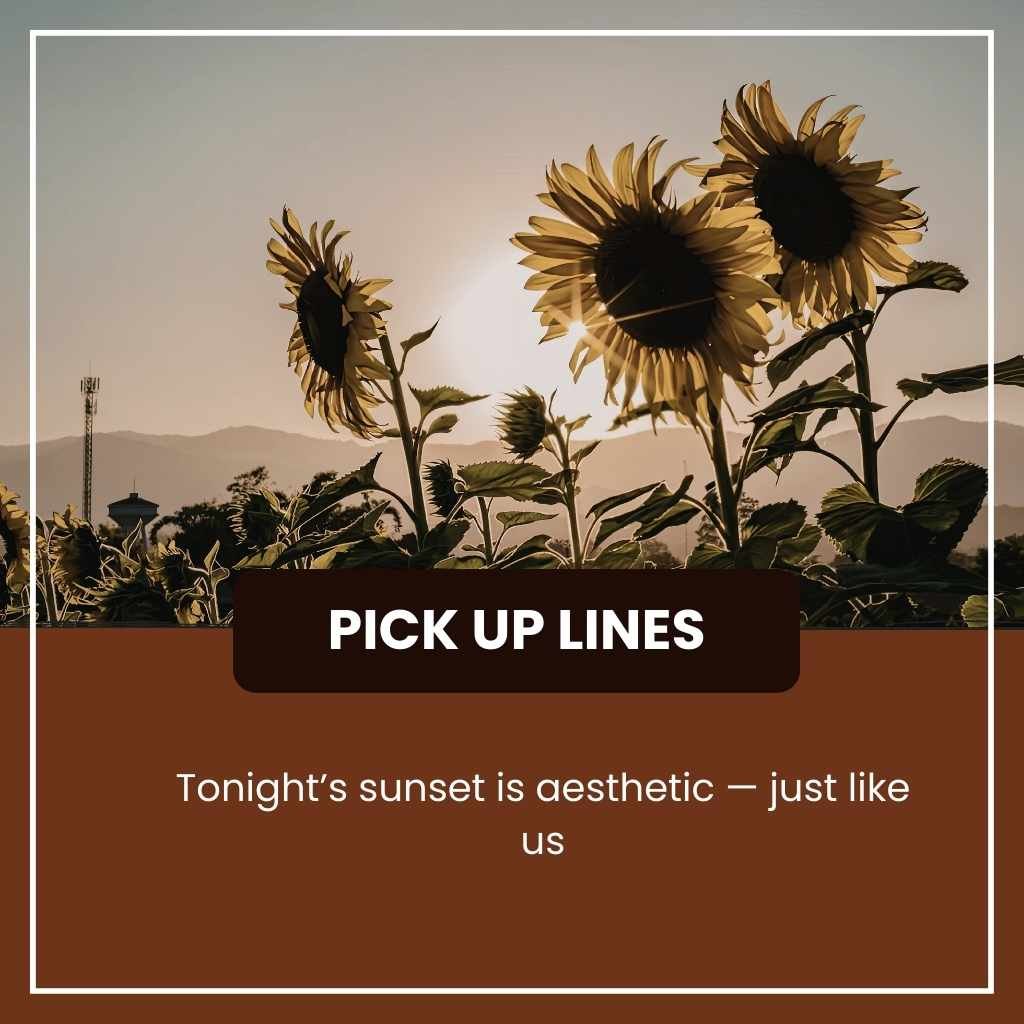 Sunset Pick Up Lines