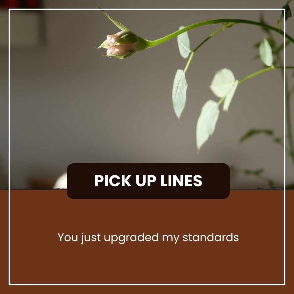 Unhinged Pick Up Lines